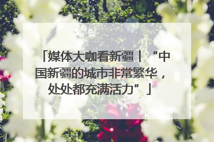媒体大咖看新疆丨“中国新疆的城市非常繁华，处处都充满活力”