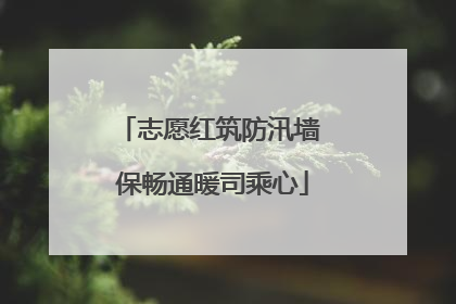 志愿红筑防汛墙 保畅通暖司乘心