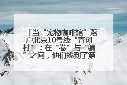 当“宠物咖啡馆”落户北京10号线“青创村”：在“卷”与“躺”之间，他们找到了第三种生活公式