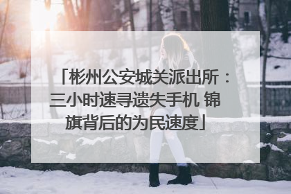彬州公安城关派出所：三小时速寻遗失手机 锦旗背后的为民速度