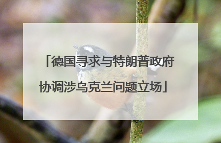 德国寻求与特朗普政府协调涉乌克兰问题立场