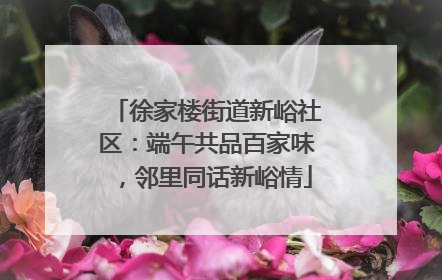 徐家楼街道新峪社区：端午共品百家味，邻里同话新峪情