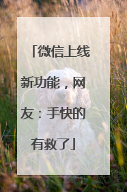 微信上线新功能，网友：手快的有救了