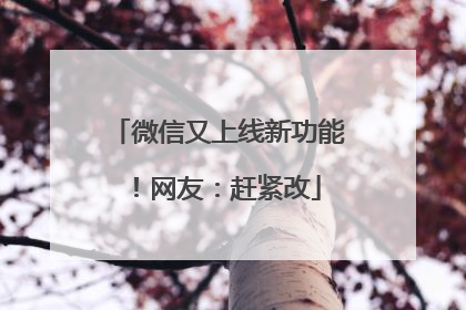 微信又上线新功能！网友：赶紧改