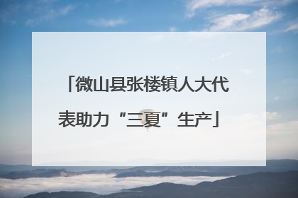 微山县张楼镇人大代表助力“三夏”生产