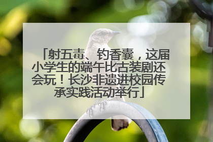 射五毒、钓香囊，这届小学生的端午比古装剧还会玩！长沙非遗进校园传承实践活动举行