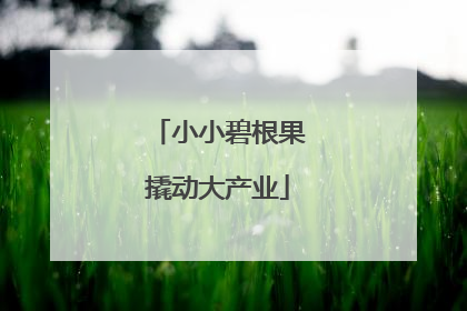 小小碧根果撬动大产业