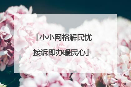 小小网格解民忧 接诉即办暖民心