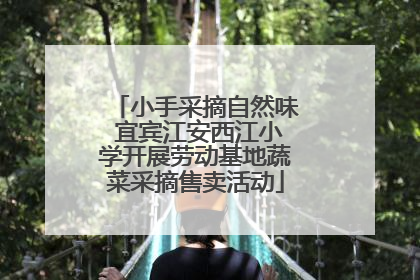 小手采摘自然味 宜宾江安西江小学开展劳动基地蔬菜采摘售卖活动