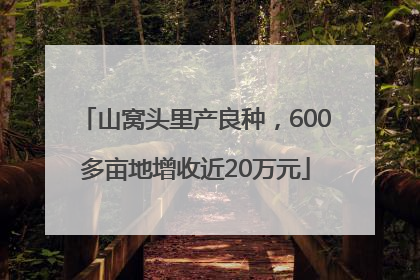 山窝头里产良种，600多亩地增收近20万元