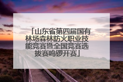 山东省第四届国有林场森林防火职业技能竞赛暨全国竞赛选拔赛鸣锣开赛