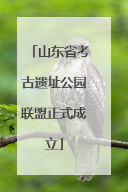 山东省考古遗址公园联盟正式成立