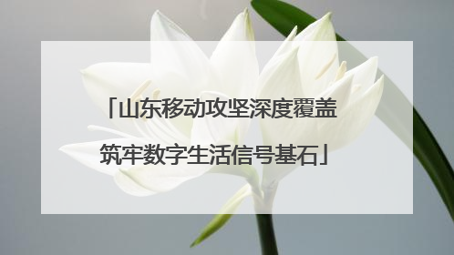 山东移动攻坚深度覆盖 筑牢数字生活信号基石