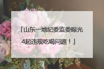 山东一地纪委监委曝光4起违规吃喝问题！