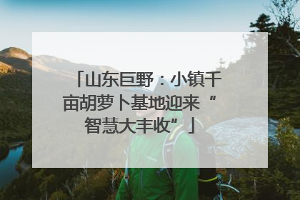 山东巨野：小镇千亩胡萝卜基地迎来“智慧大丰收”