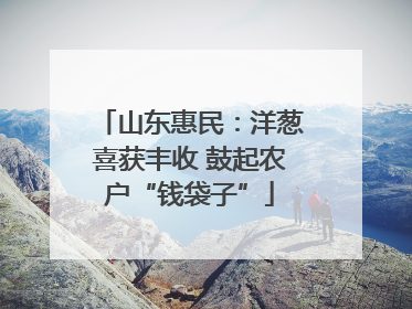 山东惠民：洋葱喜获丰收 鼓起农户“钱袋子”