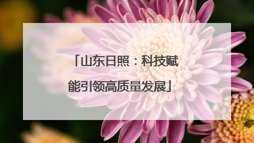 山东日照：科技赋能引领高质量发展