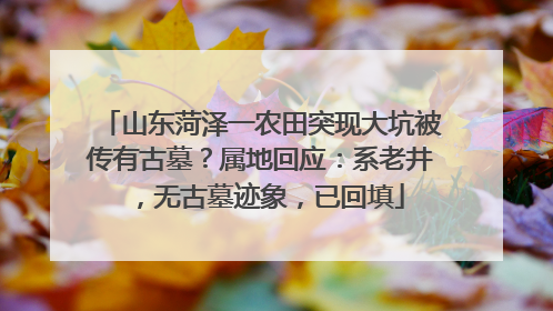 山东菏泽一农田突现大坑被传有古墓？属地回应：系老井，无古墓迹象，已回填