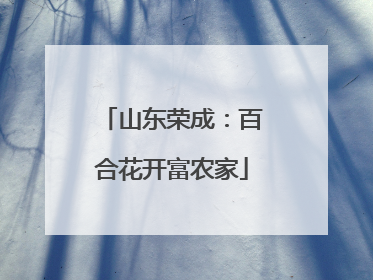 山东荣成：百合花开富农家