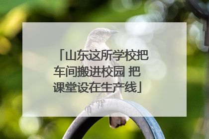 山东这所学校把车间搬进校园 把课堂设在生产线