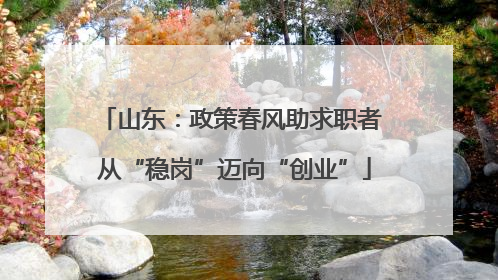 山东：政策春风助求职者 从“稳岗”迈向“创业”