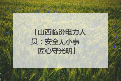 山西临汾电力人员：安全无小事 匠心守光明