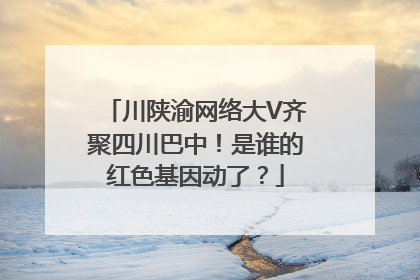 川陕渝网络大V齐聚四川巴中！是谁的红色基因动了？