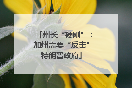 州长“硬刚”：加州需要“反击”特朗普政府