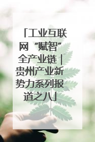 工业互联网“赋智”全产业链｜贵州产业新势力系列报道之八