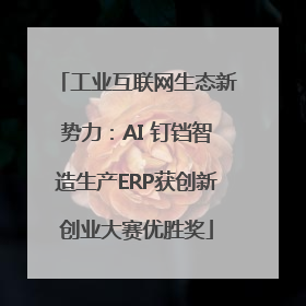 工业互联网生态新势力：AI 钉铛智造生产ERP获创新创业大赛优胜奖