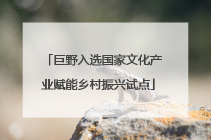 巨野入选国家文化产业赋能乡村振兴试点