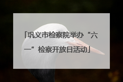巩义市检察院举办“六一”检察开放日活动