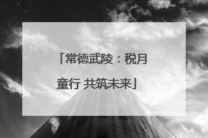 常德武陵：税月童行 共筑未来