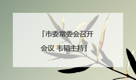 市委常委会召开会议 韦韬主持