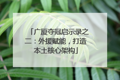 广厦夺冠启示录之二：外援赋能，打造本土核心架构