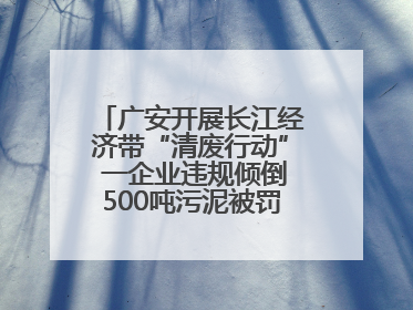 广安开展长江经济带“清废行动” 一企业违规倾倒500吨污泥被罚8万元