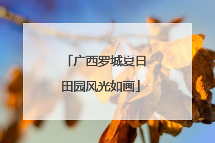 广西罗城夏日田园风光如画