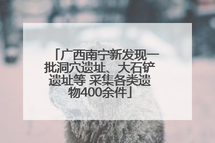 广西南宁新发现一批洞穴遗址、大石铲遗址等 采集各类遗物400余件