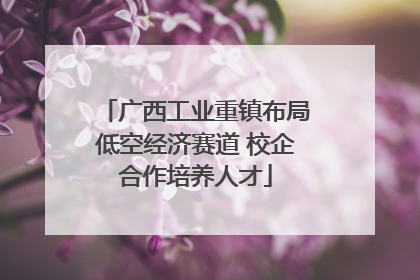 广西工业重镇布局低空经济赛道 校企合作培养人才