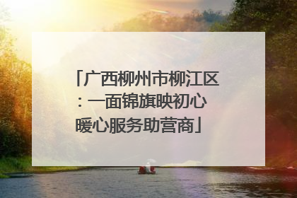 广西柳州市柳江区：一面锦旗映初心 暖心服务助营商