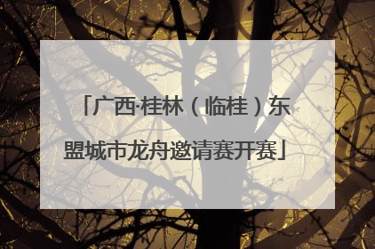 广西·桂林（临桂）东盟城市龙舟邀请赛开赛