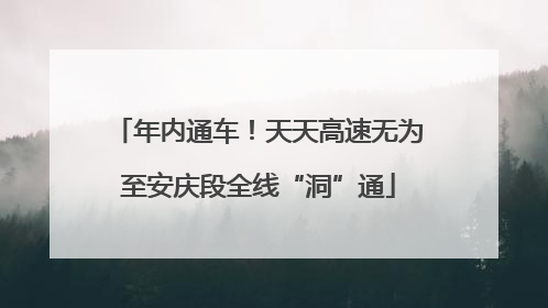 年内通车！天天高速无为至安庆段全线“洞”通