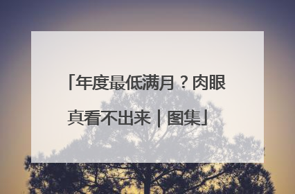 年度最低满月？肉眼真看不出来｜图集