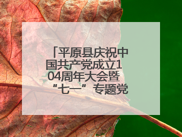 平原县庆祝中国共产党成立104周年大会暨“七一”专题党课报告会召开