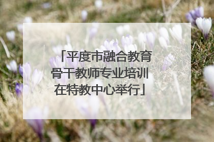 平度市融合教育骨干教师专业培训在特教中心举行