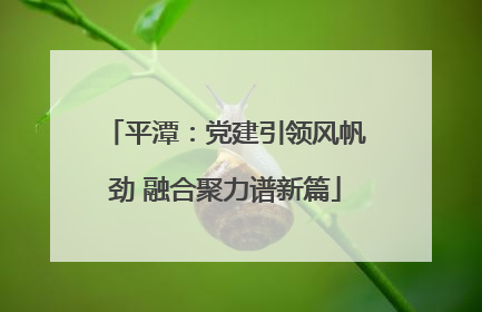 平潭：党建引领风帆劲 融合聚力谱新篇