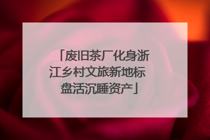 废旧茶厂化身浙江乡村文旅新地标 盘活沉睡资产