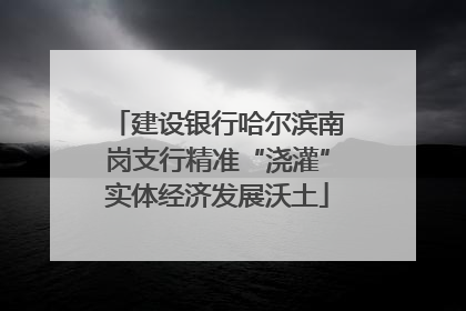 建设银行哈尔滨南岗支行精准“浇灌”实体经济发展沃土