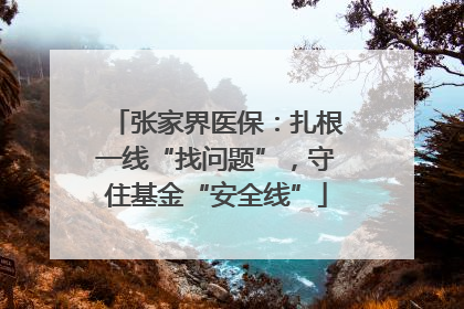 张家界医保：扎根一线“找问题”，守住基金“安全线”