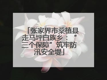 张家界市桑植县走马坪白族乡：“三个保障”筑牢防汛安全堤